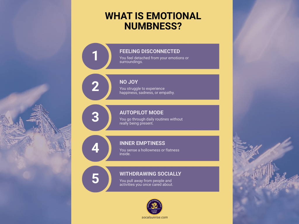 Infographic listing five signs of emotional numbness feeling disconnected from emotions and surroundings, inability to experience joy or other feelings, going through life on autopilot, sensing inner emptiness, and withdrawing from loved ones and activities.