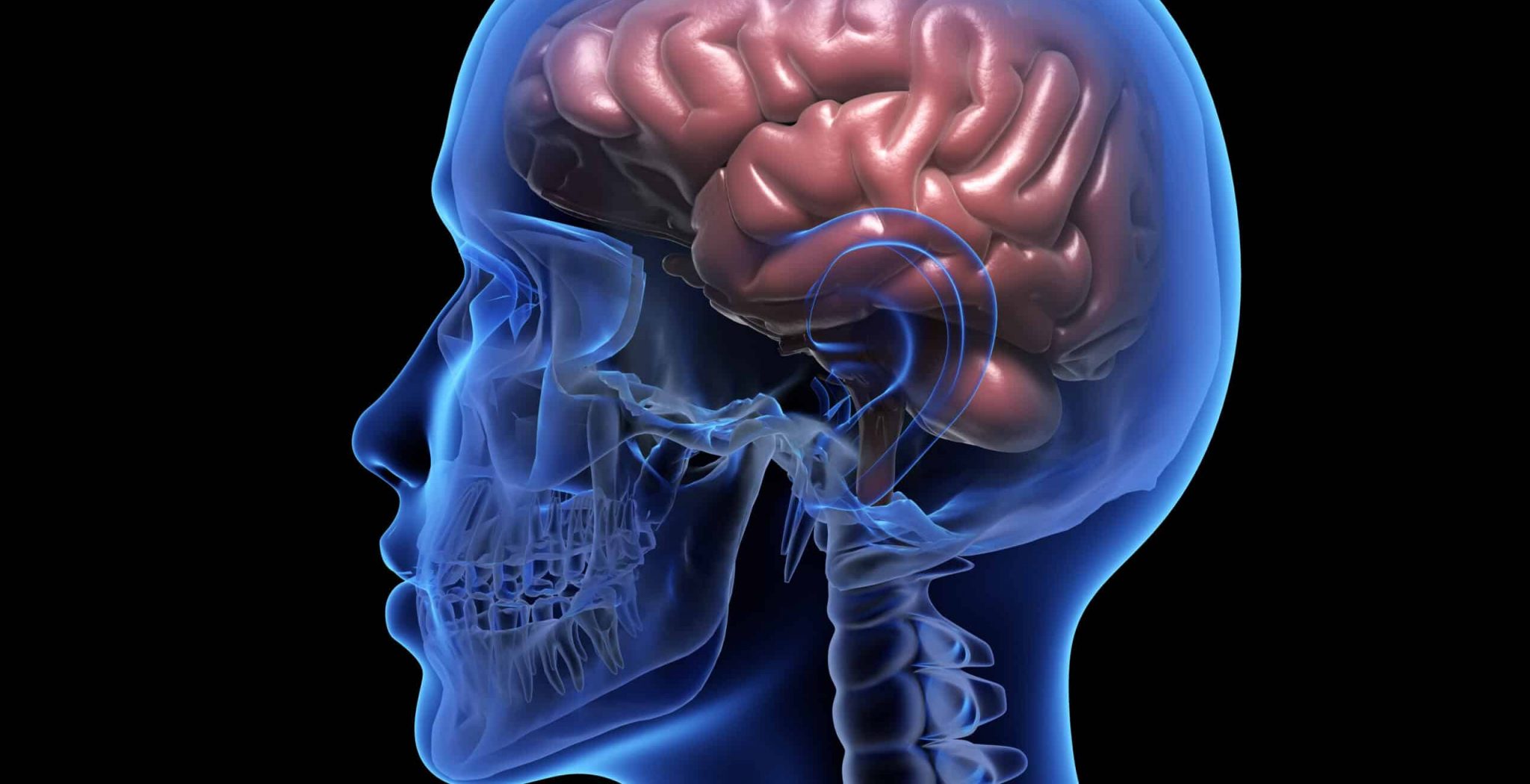 Human brain Human brain over black background. 3D illustration